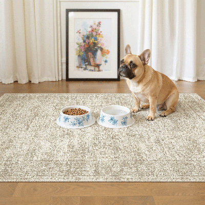 Tapis persan lavable délavé