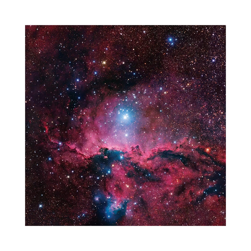 Star Forming Region In Ara (NGC 6188) II by Robert Gendler - Wrapped Canvas Print, 30.48 cm H x 30.48 cm W