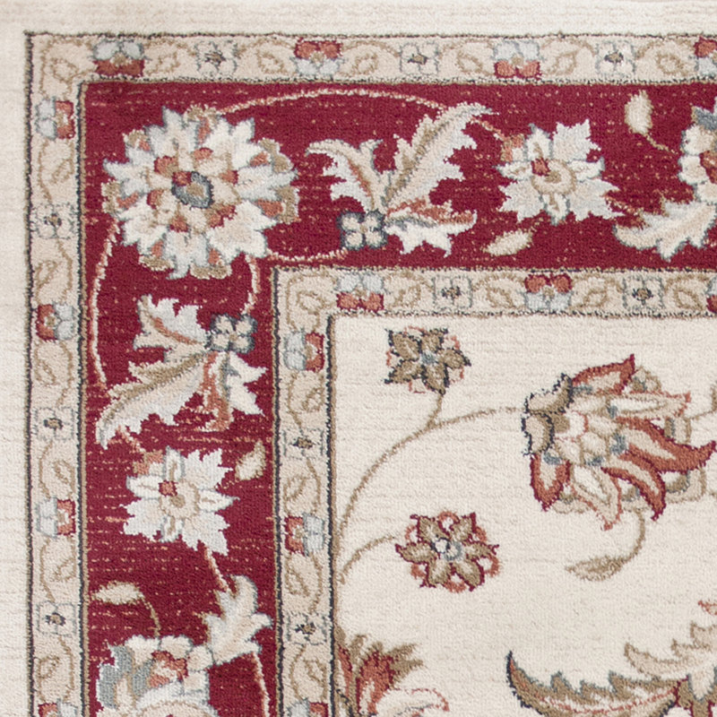 Arnot Indoor Rug, Rectangle 7'10" x 9'10", Ivory/Red