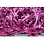 Spaghetti Solid Colour Shag Area Rug-35932922