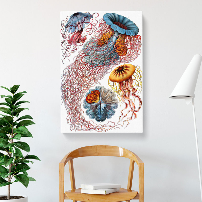 Jellyfish by Ernst Haeckel - Wrapped Canvas Painting, 76cm H x 50cm W x 3cm D