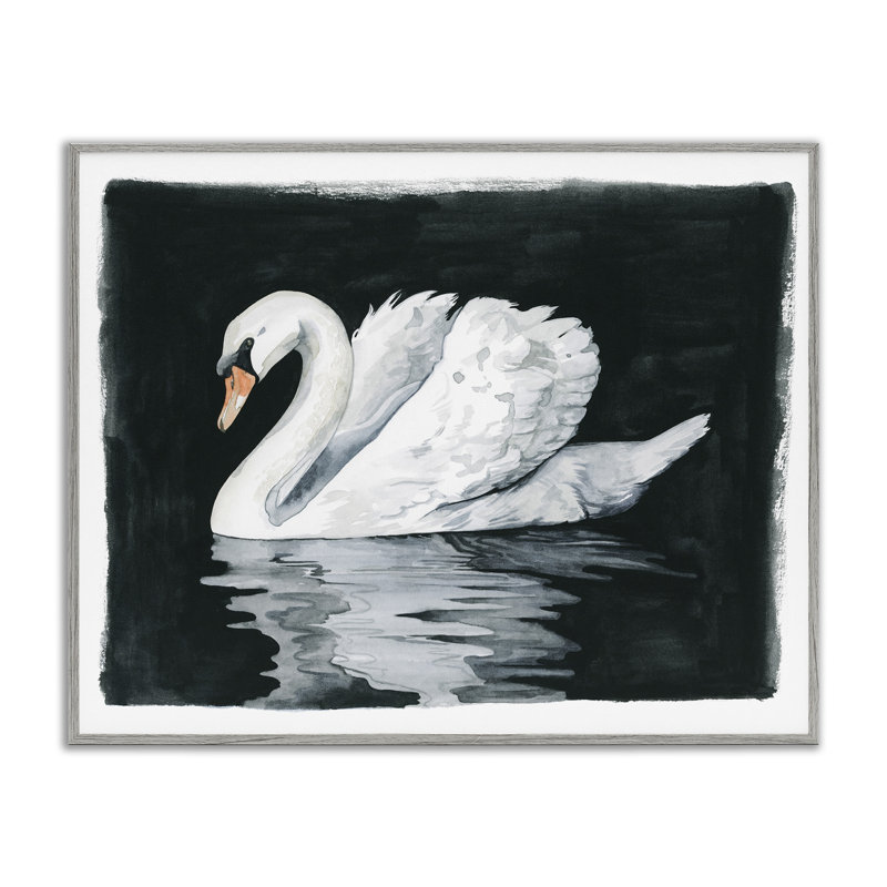 Magnifique cygne, reflet noir, art de la giclée par Grace Popp, H 16 po x l 20 po x P 1,5 po, Estampe numérique Farmhouse