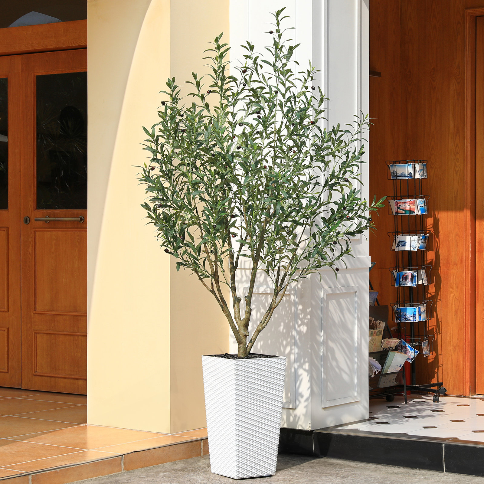 Adcock Olive Tree in Pot, 72" H x 24" W x 24" D, White