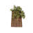 Malcom 2-Piece Rattan Wall Planter