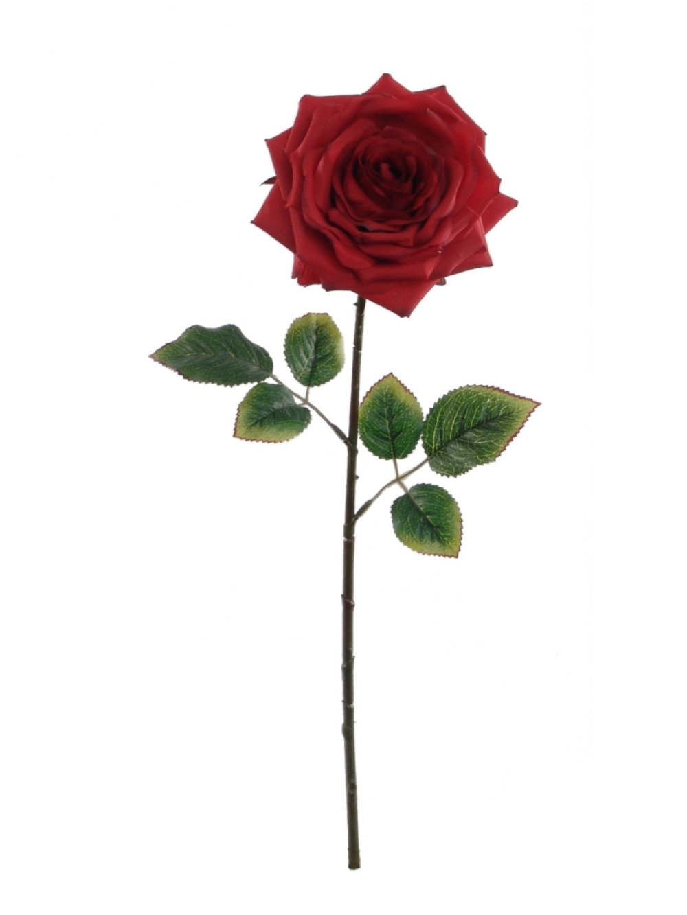Stemmy Roses Wayfair.com - Online Home Store for Furniture, Decor, Outdoors & More
