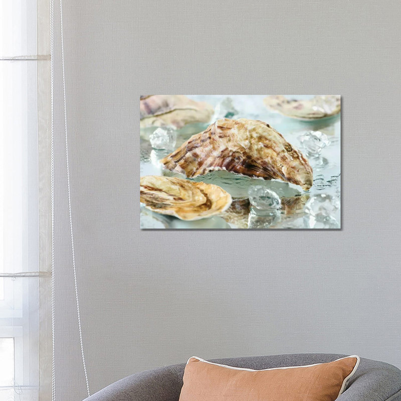 Oyster Shell by Depositphotos - Wrapped Canvas Gallery-Wrapped Canvas Giclée