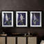 FLORAL Series CCXLI  -Custom Framed  Premium Print W Matt - 3 Pieces-1121272886-1121272884