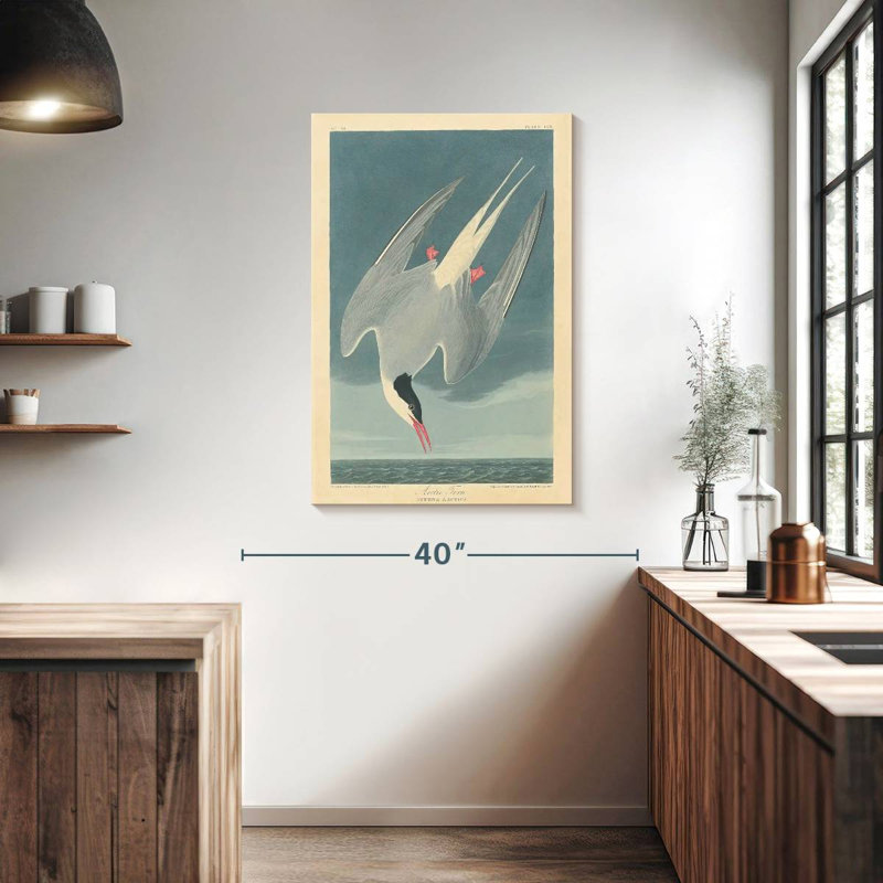 Brampt Arctic Tern, 39" H x 26" W