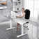 Inbox Zero Electric Stand Up Desk Frame Dual Motor Height Adjustable Sit Stand W/controller