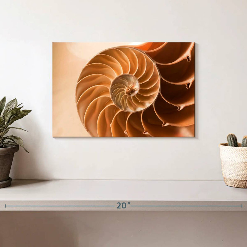 Coque Aletra Nautilus à l'intérieur, H 8 po x l 12 po