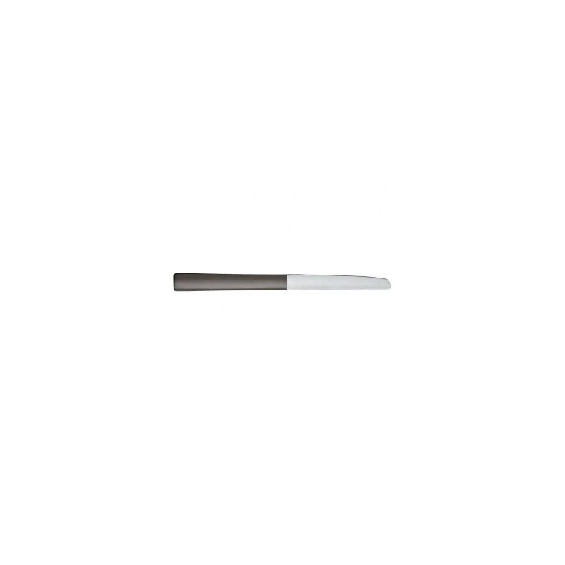 Santiago Stainless Steel Dinner Knife