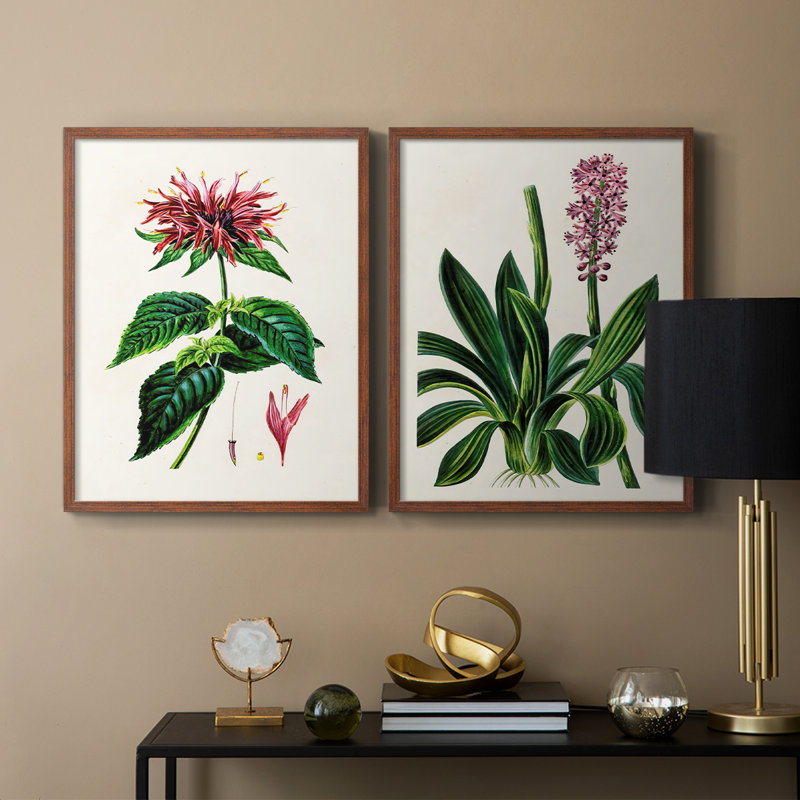 AntiqueFloralFolioI - reproduction encadrée de qualité supérieure - prête à être accrochée - aucun clou requis - aucun clou requis