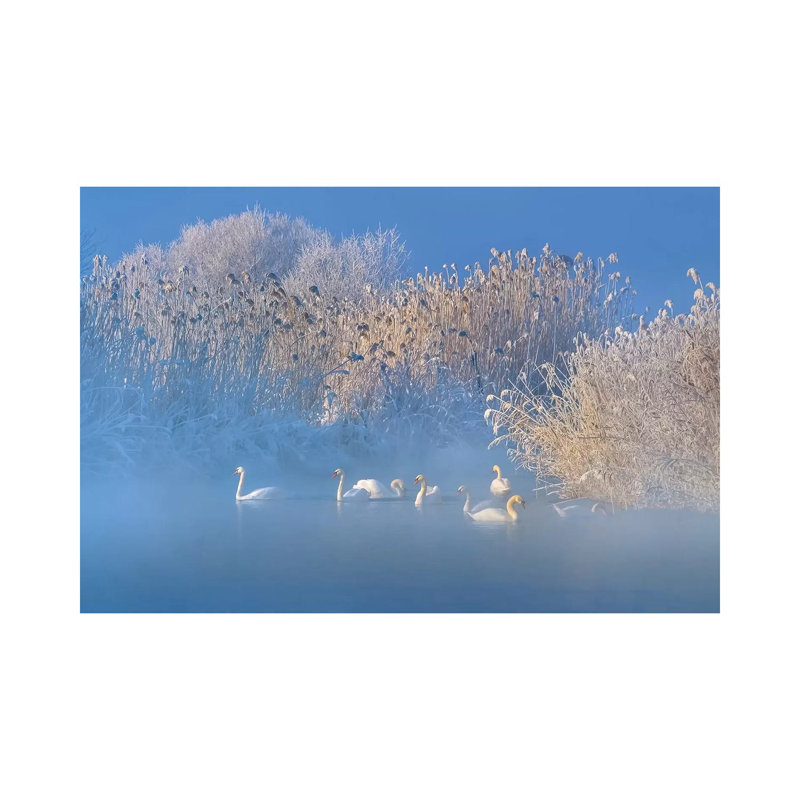 Blue Swan Lake 1 Piece Wrapped Canvas Wall Art, 45.72cm H x 66.04cm W x 1.905cm D