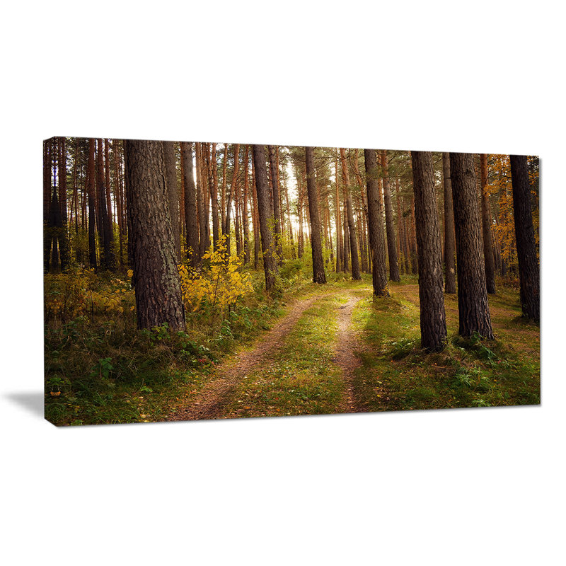 «Road traverse Thick Fall Forest», reproduction de photo sur toile tendue, H 16 po x l 32 po