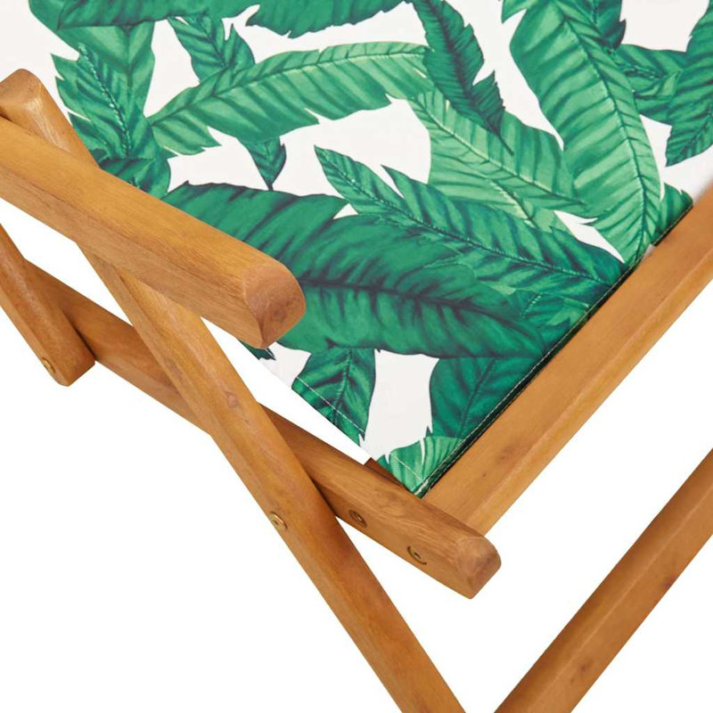 Beach Chair