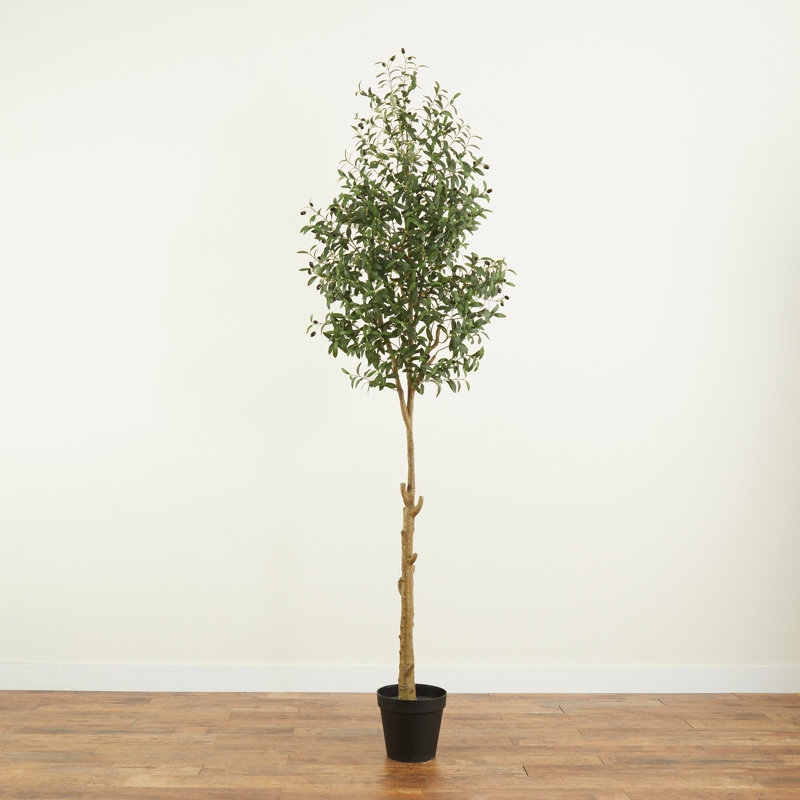 Worley 108'' Faux Olive Tree Tree in Pot