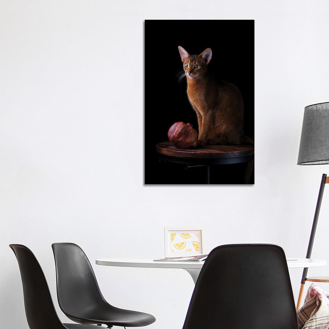 Abessinierkatze und Granatapfel von Nailia Schwarz - Giclée auf Leinwand ohne Rahmen