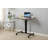 Laetyn 31.5" Height Adjustable Standing Desk-943203379