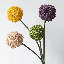 Tige sphérique Allium - 27 po-169840726-169840730