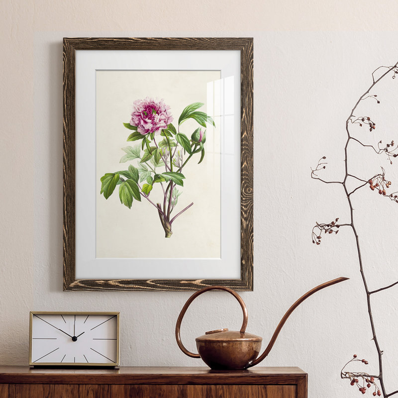 «Pretty Botanicals V», cadre photo, Cadre noyer, H 44 po x l 31 po x P 1 po