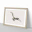 Osprey Bird - Framed Print-56915081-56915082