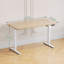 Electric Standing Desk Height Adjustable Desk Sit Stand Desk With Time Reminder Stand up Desk 2 Memory Setting Electric Desk -1206005168-1206005182