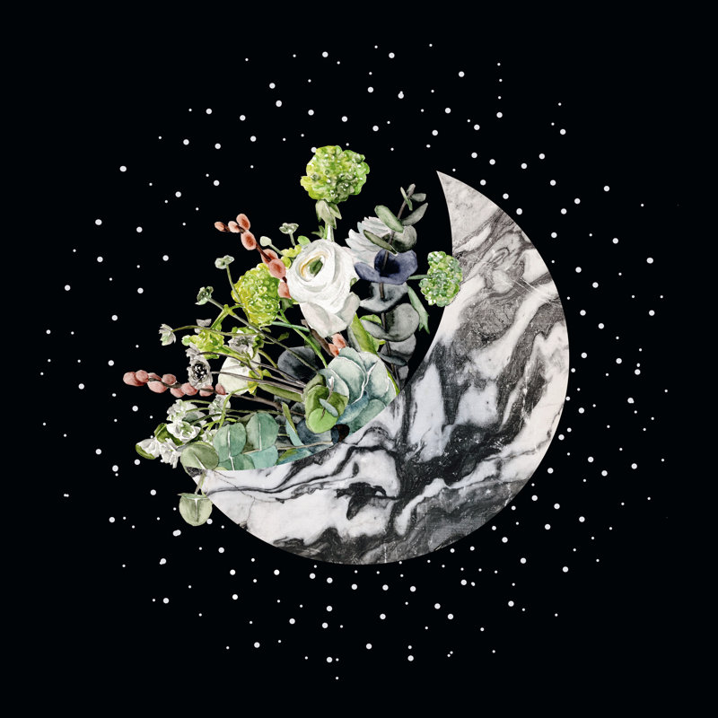 Luna II, H 12 po x l 12 po