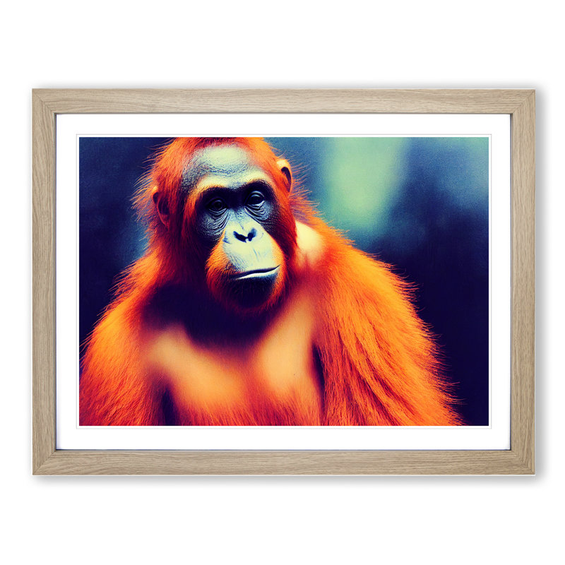 Orangutan Portrait Vol.2 1 Piece Single Picture Frame Wall Art, 34cm H x 46cm W x 2cm D, Oak