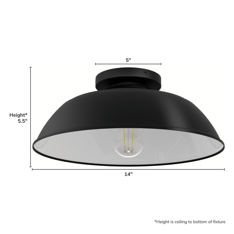 Hunter Mill Valley Rustic Modern Metal Dome Outdoor Medium Flush Mount