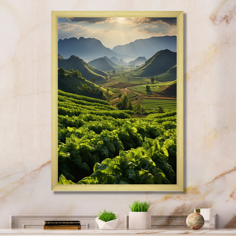 Impression sur toile «Cuba & tabac champs de Cuba III», H 32 po x l 16 po x P 1 po, Encadrement doré