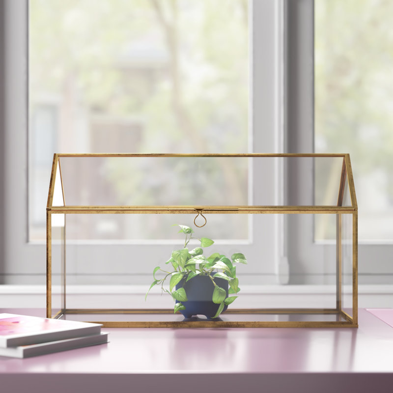 Jago Glass Terrarium