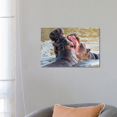 Hippos 1 Piece Wrapped Canvas Wall Art