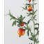 Branche de grenadier artificielle de 31 po