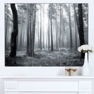 " Black And White Foggy Forest " 3 - Pieces