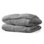 Wayfair Sleep Lightweight Down Alternative Comforter-403424104-459250364