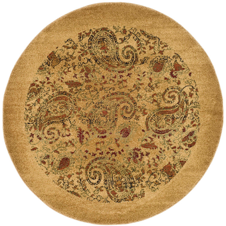 Klose Performance Paisley Rug