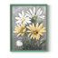 Summer Daisies II, reproduction encadrée - bois massif-842914912-842914913