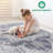 Collection 8X10 / /Medallion Non-Shedding Living Room Bedroom Dining Home Office Stylish And Stain Resistant Area Rug-1491989318