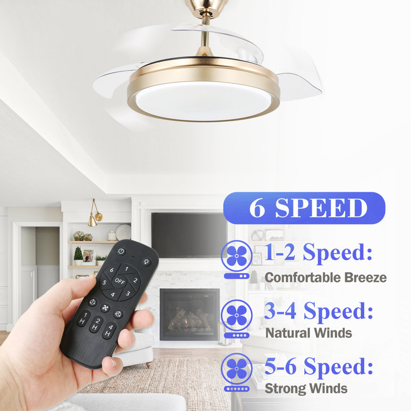 Dinae 42'' Ceiling Fan with LED Lights, Gold