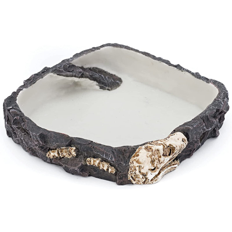 Plat à roches fossiles Reptile