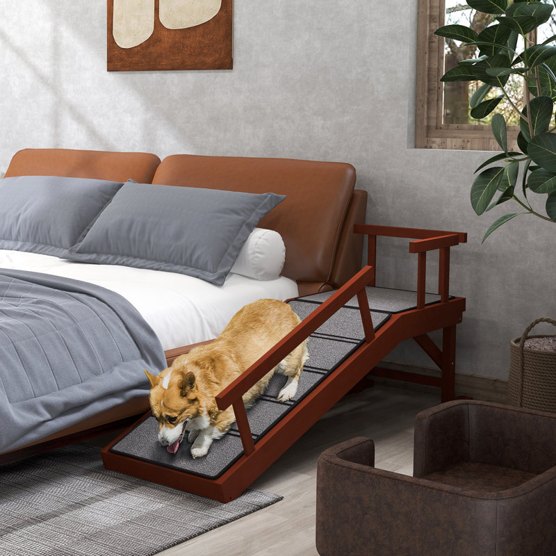 Rampe pour chien et escalier pour petits, moyens et grands animaux de compagnie, H 22 po x l 49,2 po x P 15,7 po
