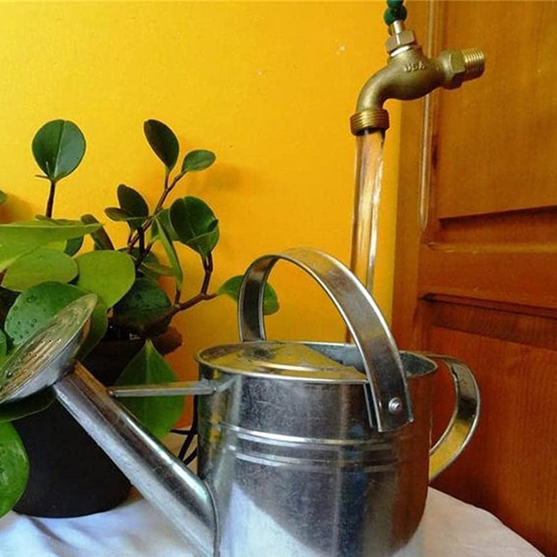 Arrosoir, fontaine à bec coulant, robinet flottant, robinet à eau