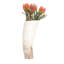 Ankole-Watusi Cow Horn Table Vase-69599774