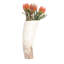 Ankole-Watusi Cow Horn Table Vase-69599775