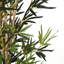 Faux Bamboo Tree in Pot-440907601