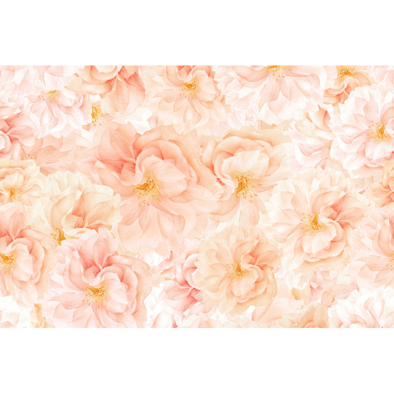 Sakura Blossoms, photographie sur toile tendue, H 8 po x l 12 po, Jaune / rose