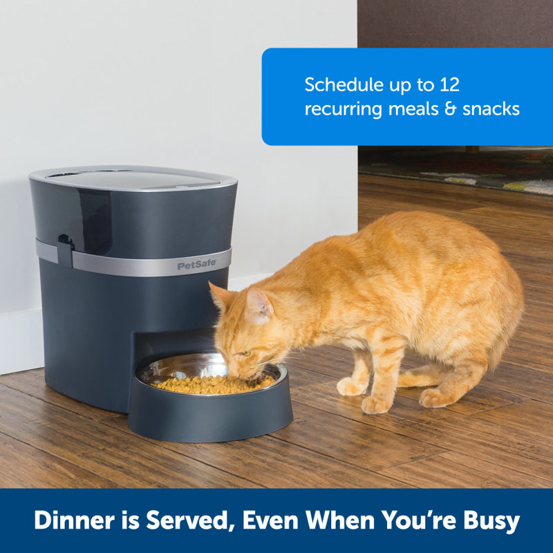 PetSafe Smart Feed Automatic Pet Feeder with Stainless Steel Bowl