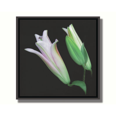 «When Lilies Rise» par Hal Halli. Estampe numérique