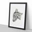 Head of a Donkey by Jean Bernard - Picture Frame Drawing Print-55580128-55580130