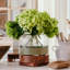 3-in-1 Glass Bloom Vase-1909190226